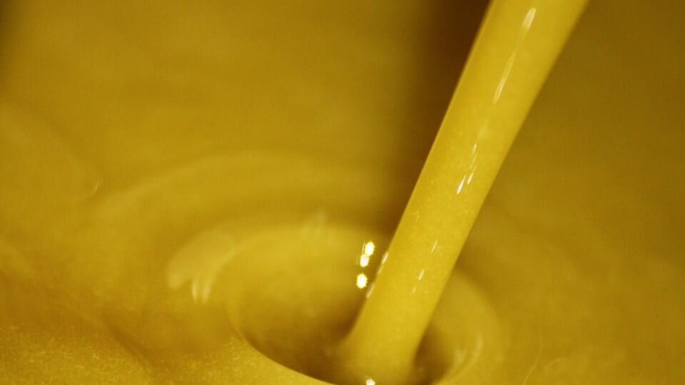 Fotografía que ilustra la noticia: La producció d'oli d'oliva a Catalunya caurà un 34,6% aquesta campanya, amb 25.500 tones