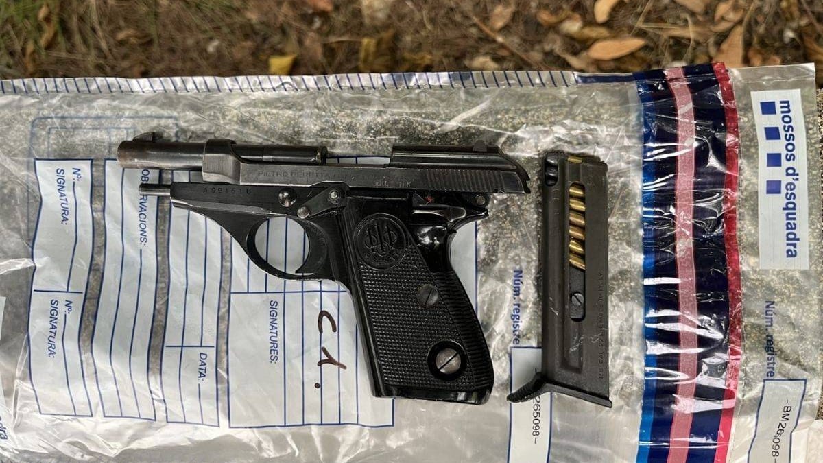 Fotografía que ilustra la noticia: Operatiu policial al Montmell i Querol: tres detinguts i 1.751 plantes de marihuana desmantellades